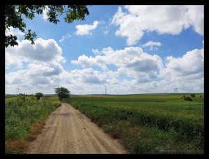 Campagne tranquille